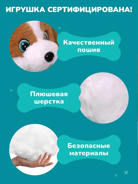 Щенок интер. "Послушный щенок". Фото N3 Щенок интер. "Послушный щенок". Фото N3