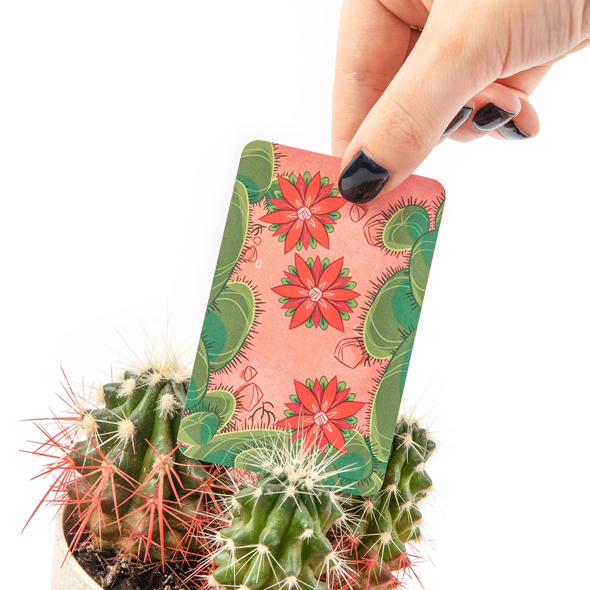 Настольная игра "Ой, колючки!". Фото N4 Настольная игра "Ой, колючки!". Фото N4