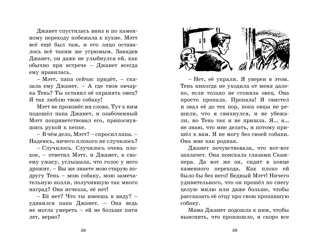 Купить Блайтон Э. Дело о похищении собак. Кн.13 в Тольятти за 219 руб. –  интернет-магазин Мульти Бум