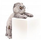 ����� � �����