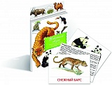 Дидактич. карточки "Животные Азии"