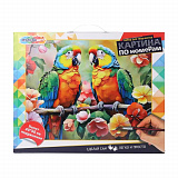 ����� �� ������� ������� 40*50��