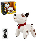 ������� "����" �/�,������. � ������ � �������,����.����.��., 12 �����.������,29 ����