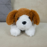 ������� ����. ������ 57 ��