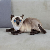 ������� ����. ����� 27 ��