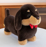 ������� ����. ������ 45 ��