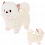 ���� ����� 20 ��