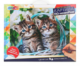 ����� �� ������� ������ 40*50��