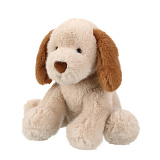 ������� ���. "������" ������-���������� 25 ��