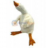    120 