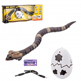 ������� "�����" �/�, USB �/�