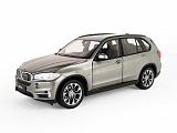  BMW X5 1:24, 