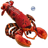 ������� ���. ������� ������� ������� 45�� 