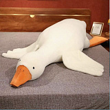 ������� ����. ���� 100 ��