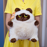 ������� ����. ��� 35 ��